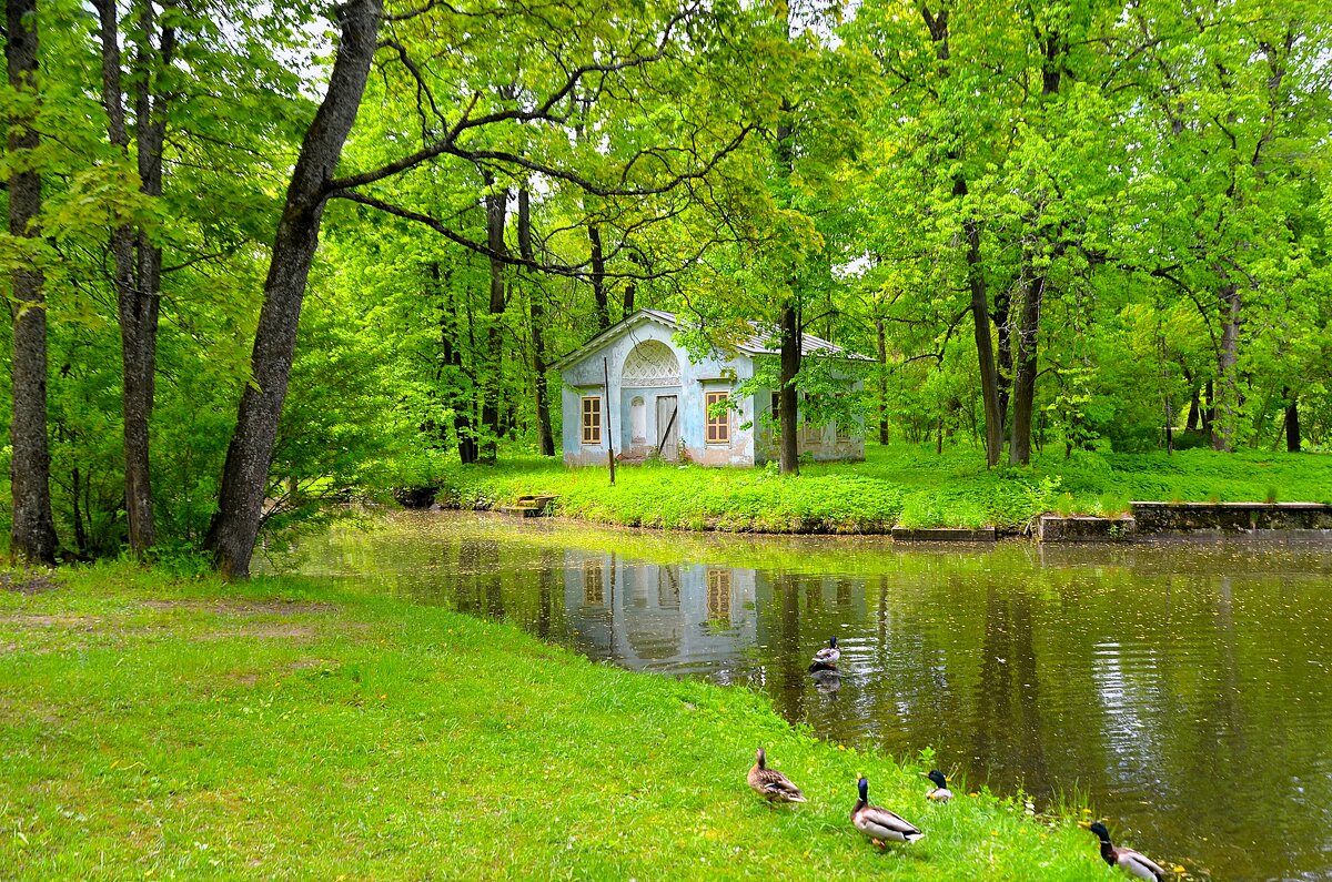 У Детского пруда... - Sergey Gordoff