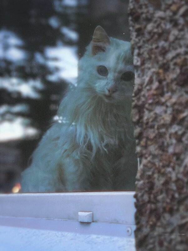 Угол - Евгения Мокшина