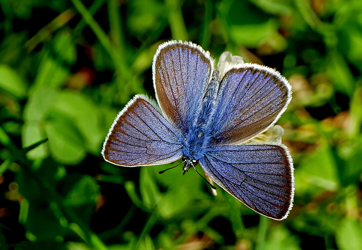 из снятого сегодня 3 - Александр Прокудин из снятого сегодня 3 - Александр Прокудин