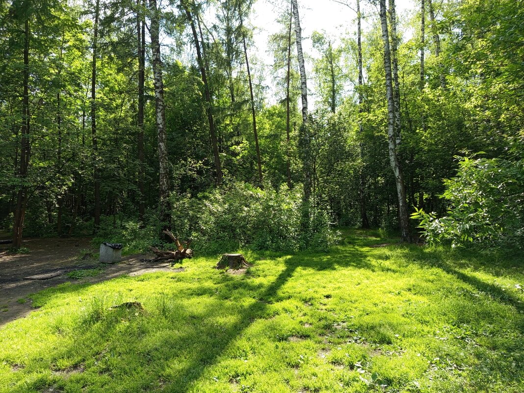 Разъиюнилось - Андрей Лукьянов Разъиюнилось - Андрей Лукьянов