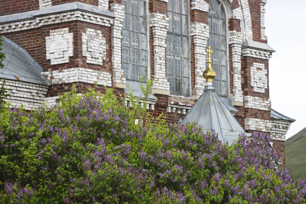 Цветение... - Галина Ильясова Цветение... - Галина Ильясова