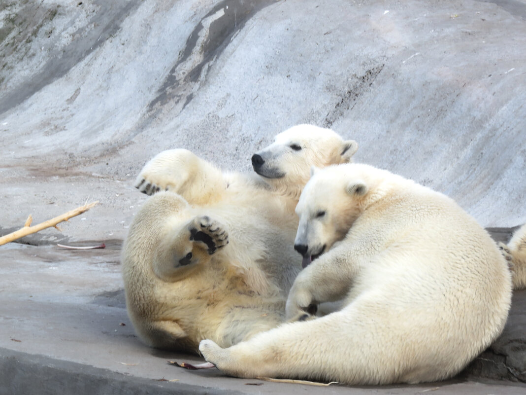 катание с горки.. пусть и не настоящей - ИРЭН@ . катание с горки.. пусть и не настоящей - ИРЭН@ .