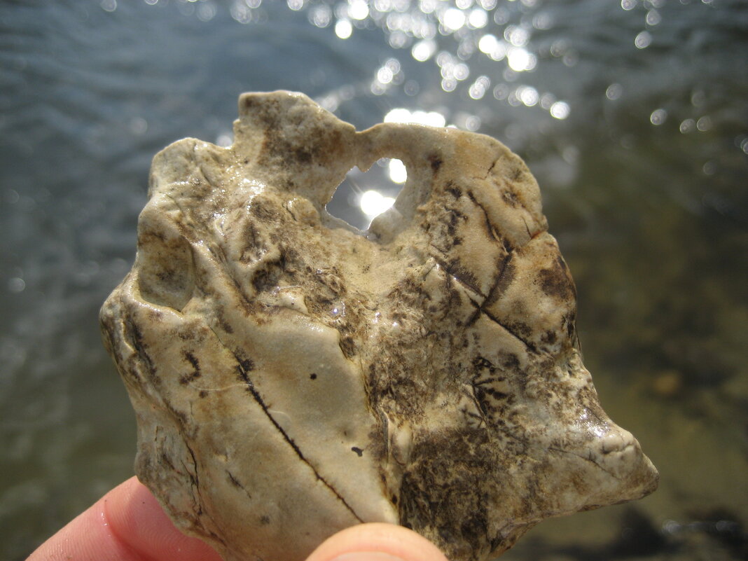 Куриный/собачий бог - Anna Ivanova Куриный/собачий бог - Anna Ivanova