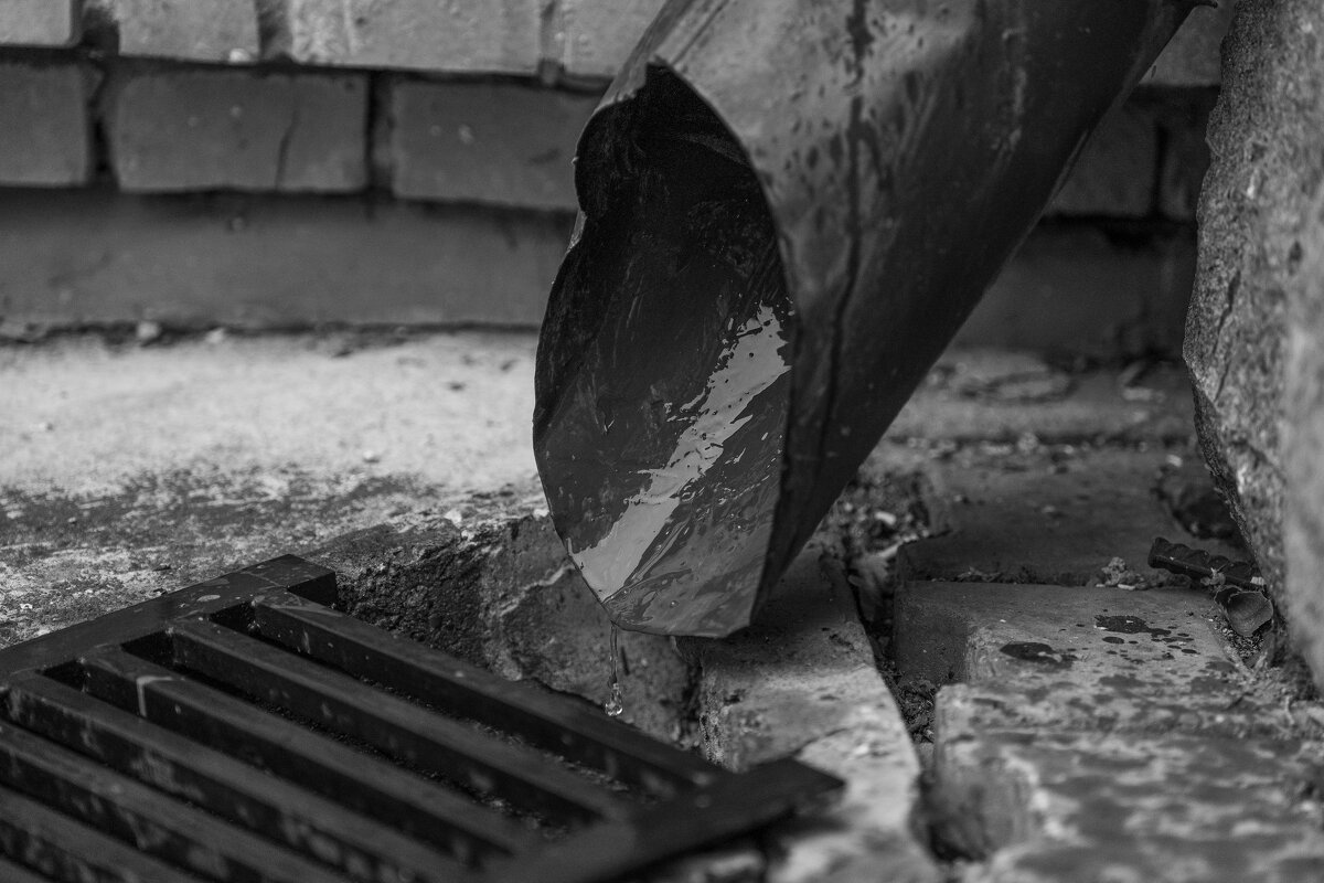 1 - Сергей Флетчер 1 - Сергей Флетчер