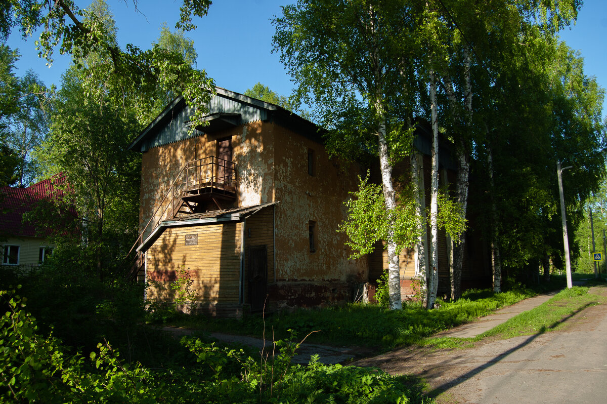Летние прогулки - Павел Харлин Летние прогулки - Павел Харлин