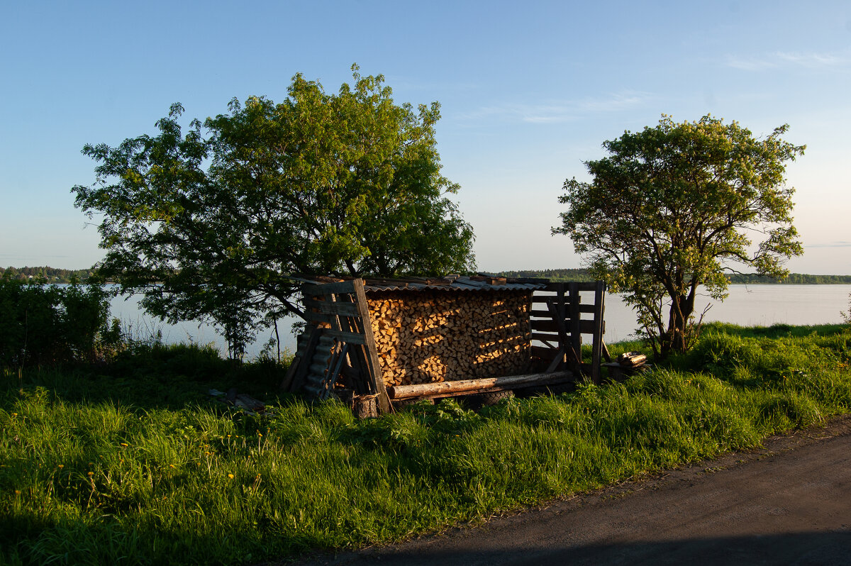 Летние прогулки - Павел Харлин Летние прогулки - Павел Харлин