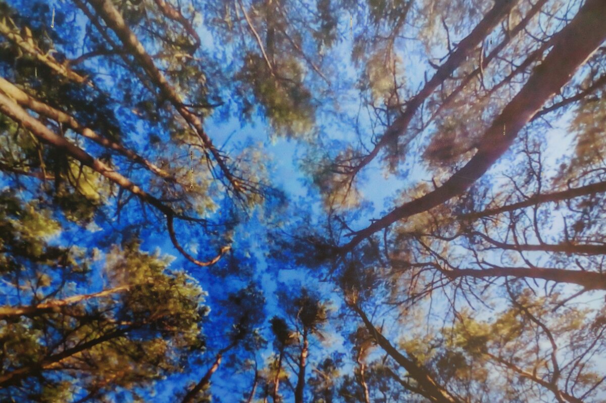 * * * * - Алёна Савина