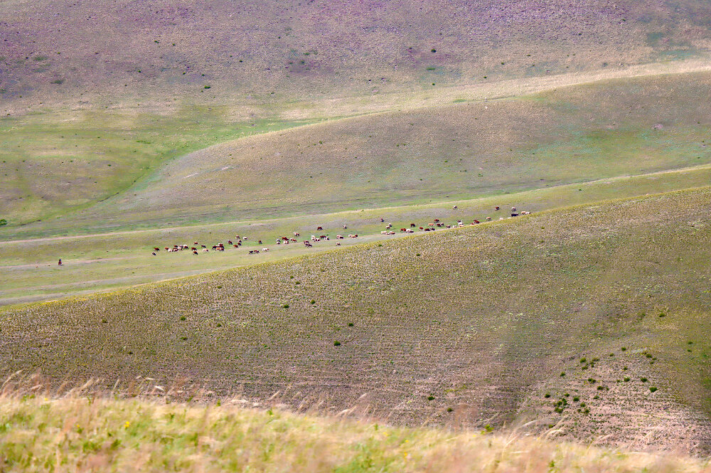 Пейзажи Южного Урала - Галина Ильясова Пейзажи Южного Урала - Галина Ильясова