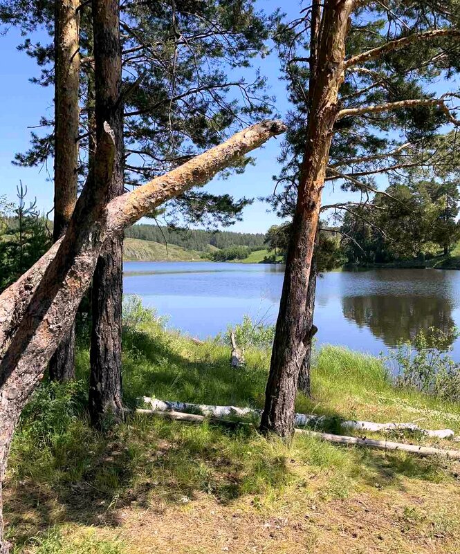 Начало лета - Елена 