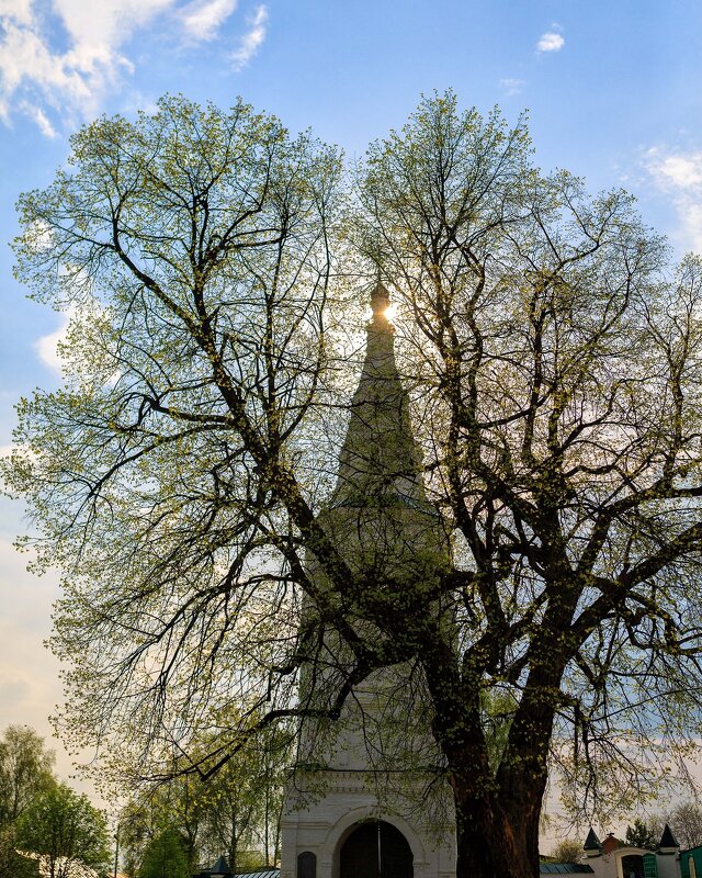 Весна.Кидекша - Вячеслав Владимирович