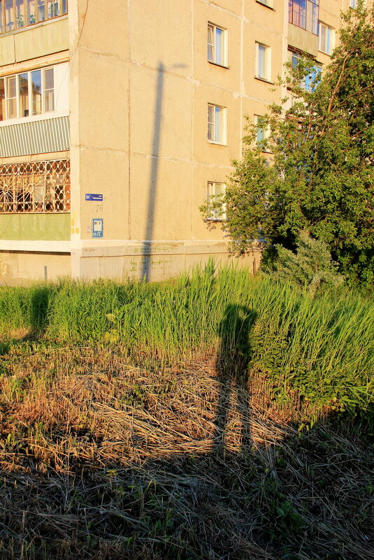 Автопортрет - victor Lion