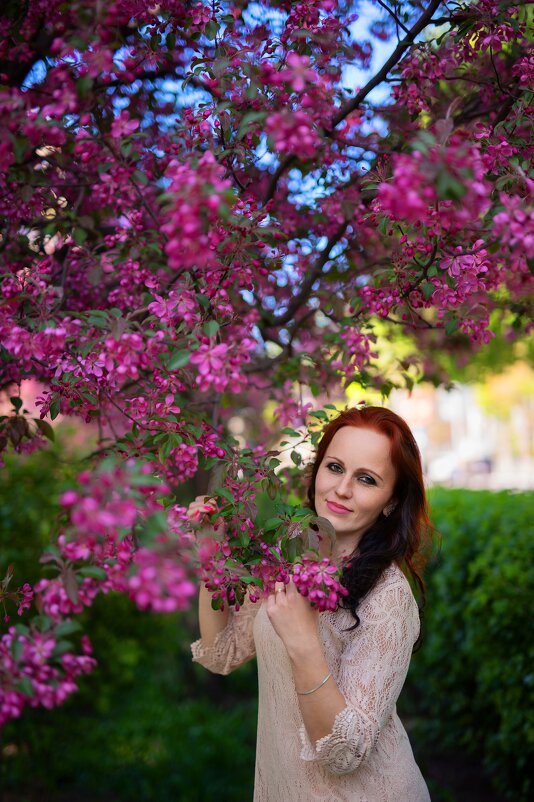 Яблони в цвету - Олег 