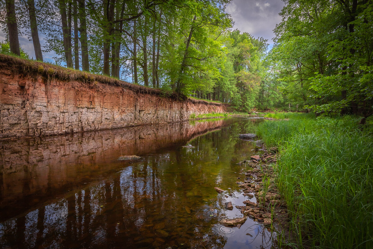 **** - Елизавета .