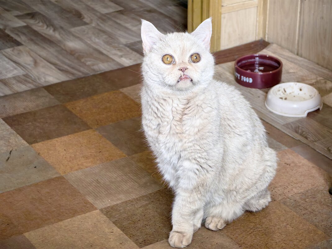 Ну, чудной) - Светлана 13.06.