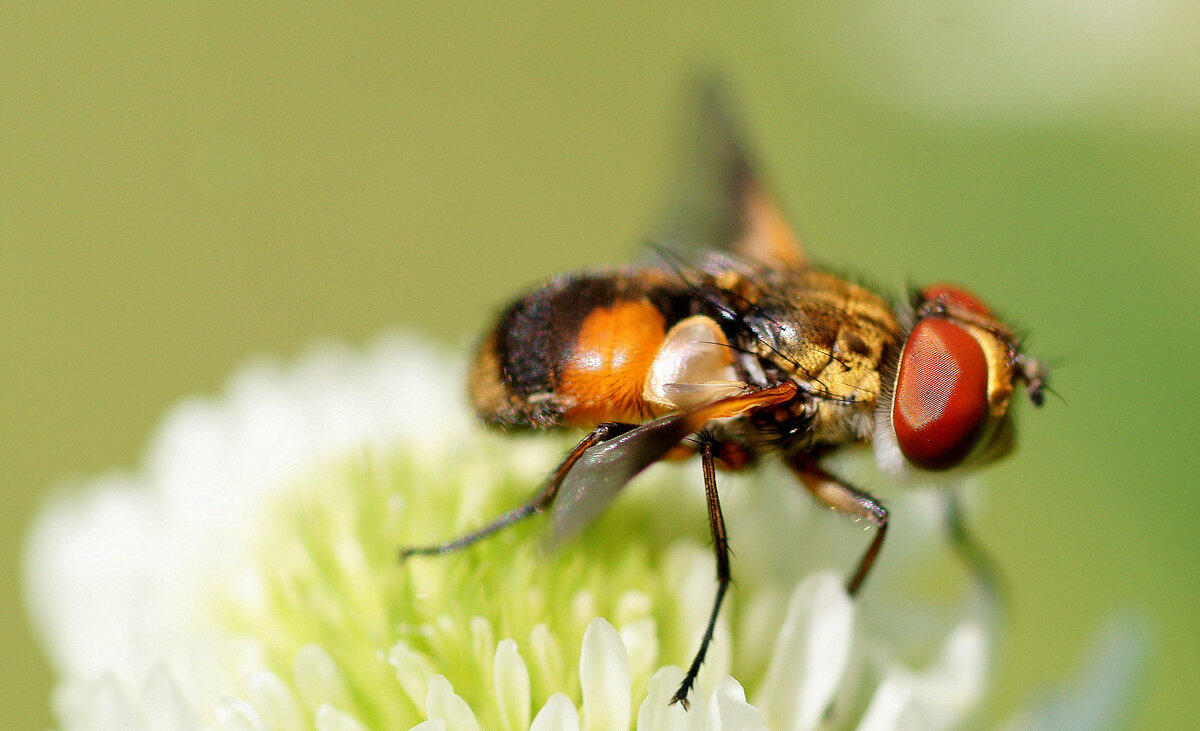 из снятого сегодня 2 - Александр Прокудин