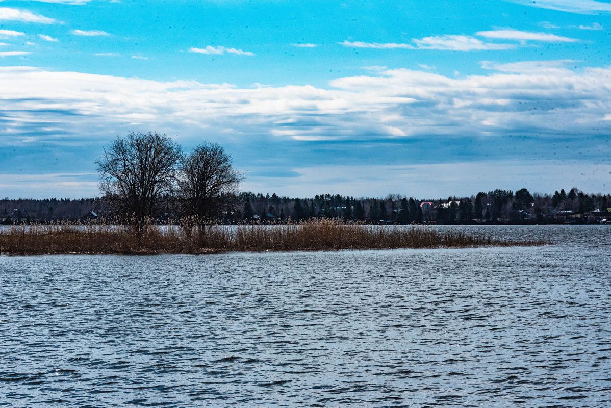 Озеро Сиверское - Дмитрий Лупандин Озеро Сиверское - Дмитрий Лупандин
