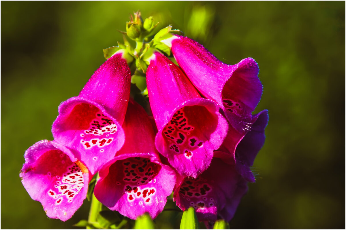 Дачные - Валентин Котляров