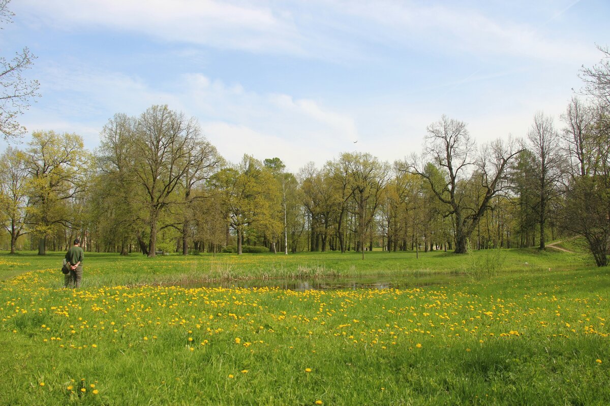 Орловский парк. Май - Наталья Герасимова Орловский парк. Май - Наталья Герасимова