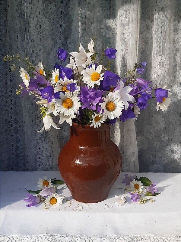 Лето! - Нина Андронова