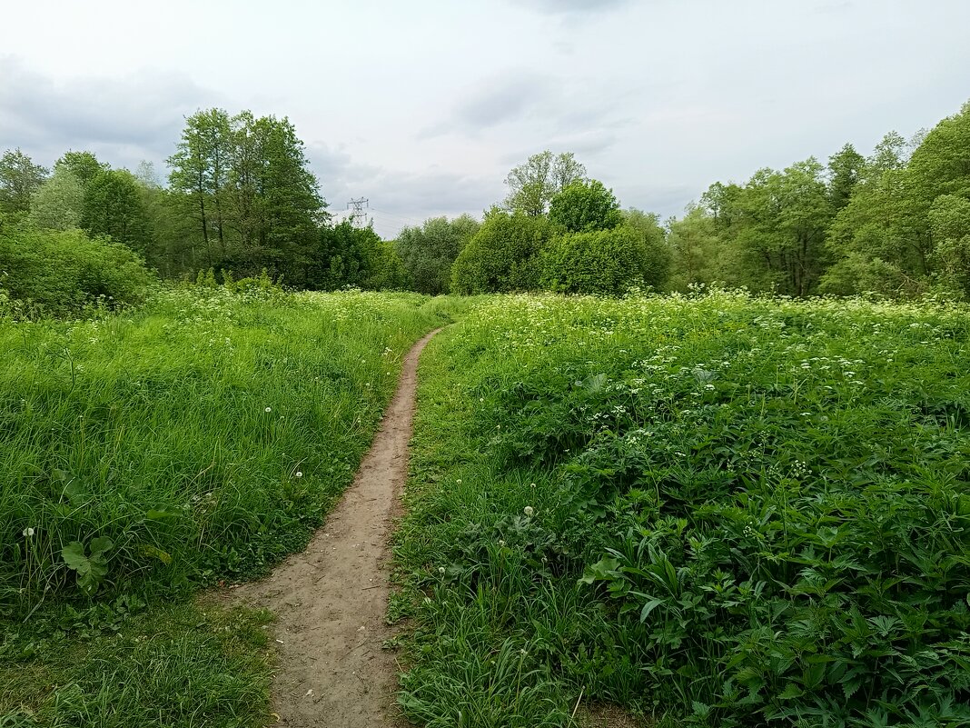 Из того, что успел недопоказать в июне - Андрей Лукьянов