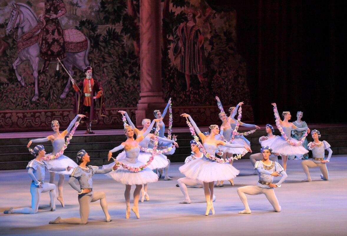 Балет "Раймонда" - Валерий Судачок