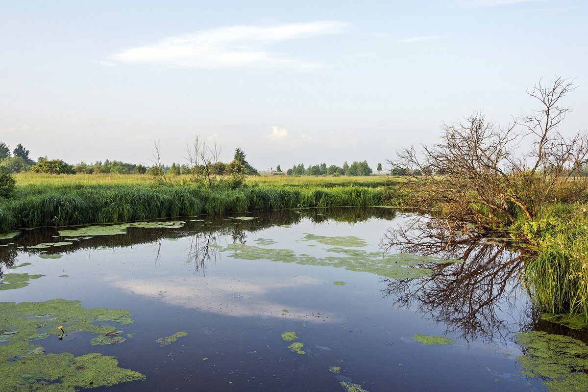 Начало июня - Валерий Иванович