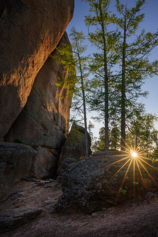 * - Александр Иванов * - Александр Иванов