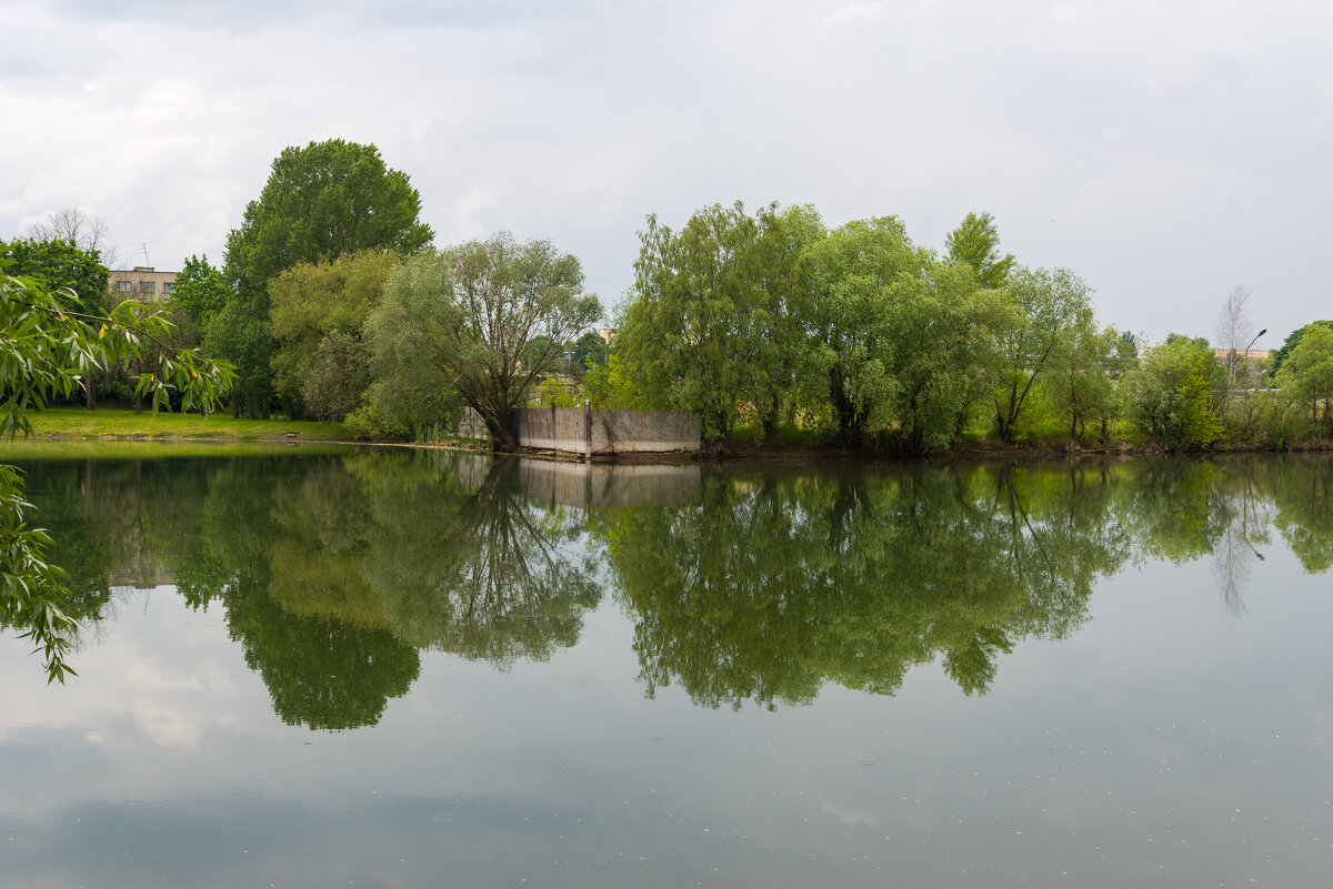 Забор у воды - Андрей Сосновский Забор у воды - Андрей Сосновский