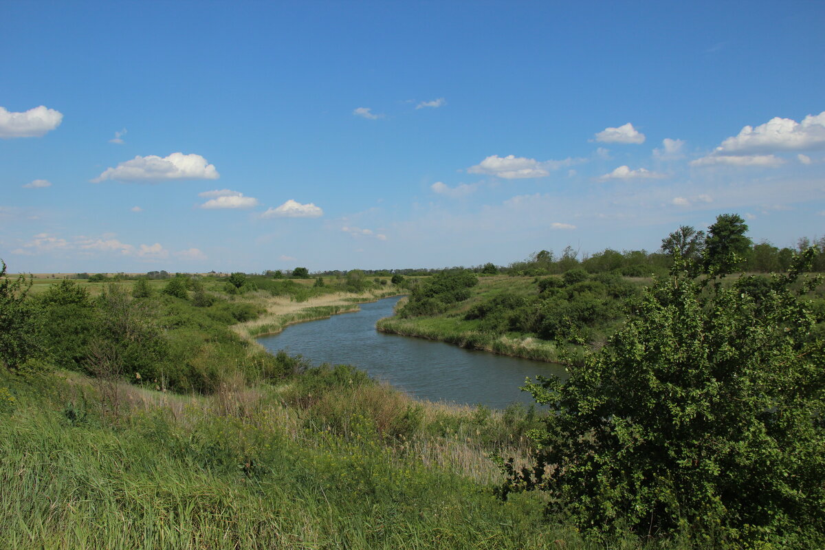 Местная река. - Виктор Местная река. - Виктор