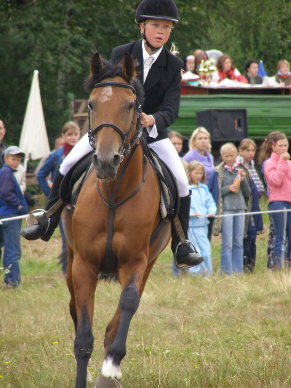 Конкур - Николай ntv Конкур - Николай ntv