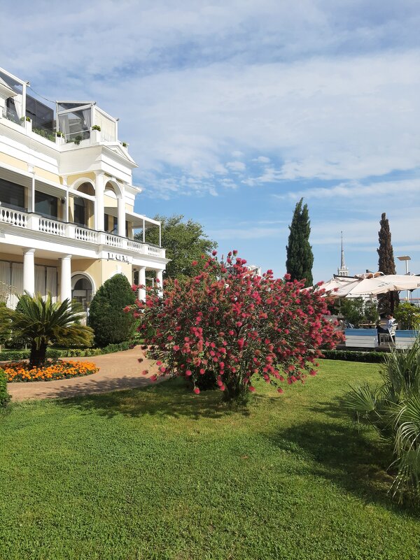 Сочи - Tata Wolf Сочи - Tata Wolf