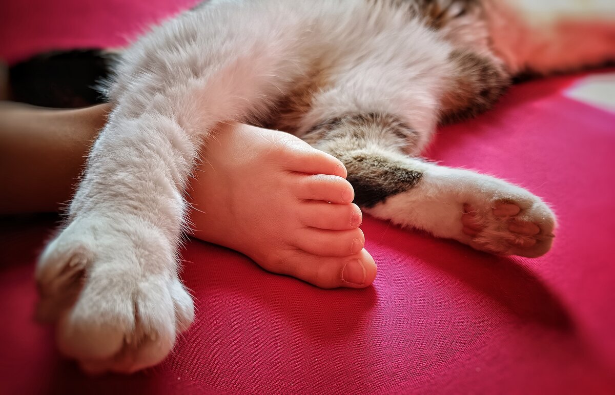 Сон в летнюю ночь. - ВЛАДИМИР Сон в летнюю ночь. - ВЛАДИМИР