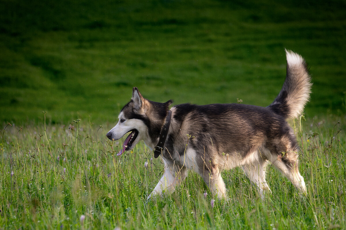 Ярик. - leff Postnov