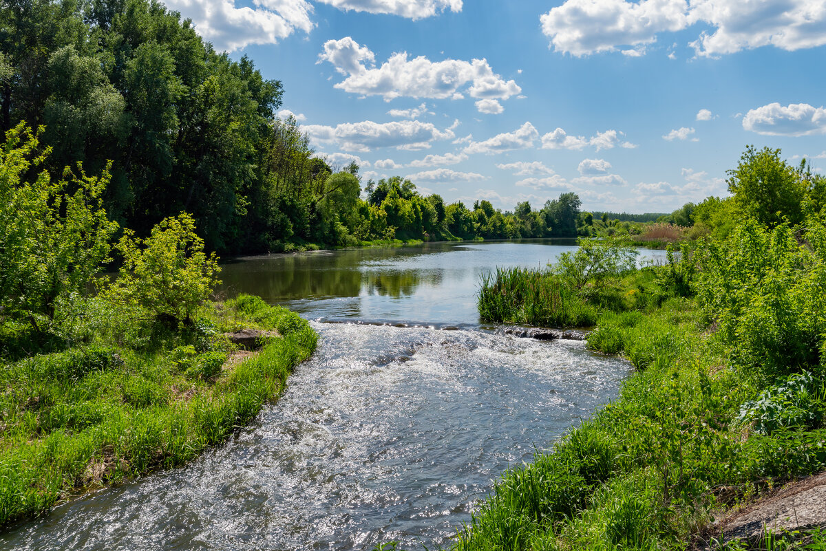 *** - Виталий Емельянов *** - Виталий Емельянов