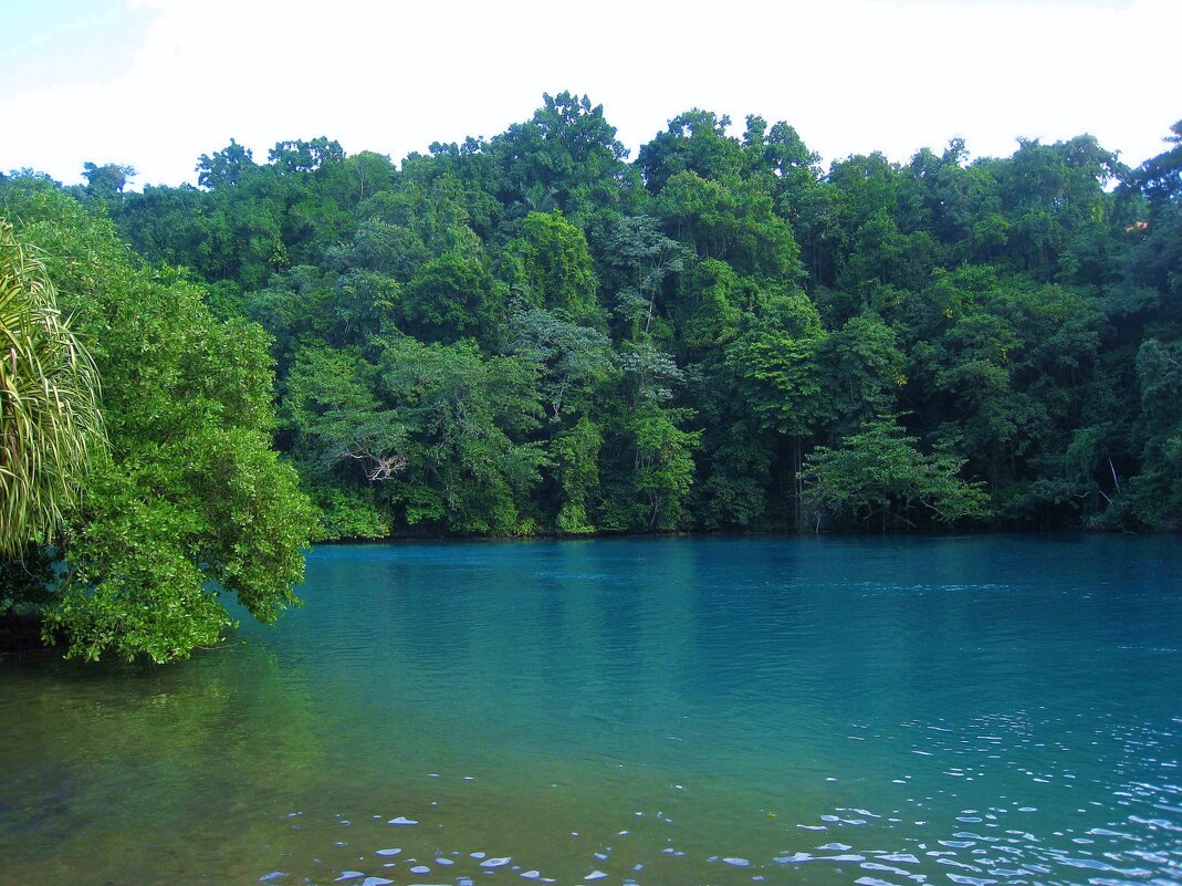 Голубая Лагуна. - unix (Илья Утропов) Голубая Лагуна. - unix (Илья Утропов)