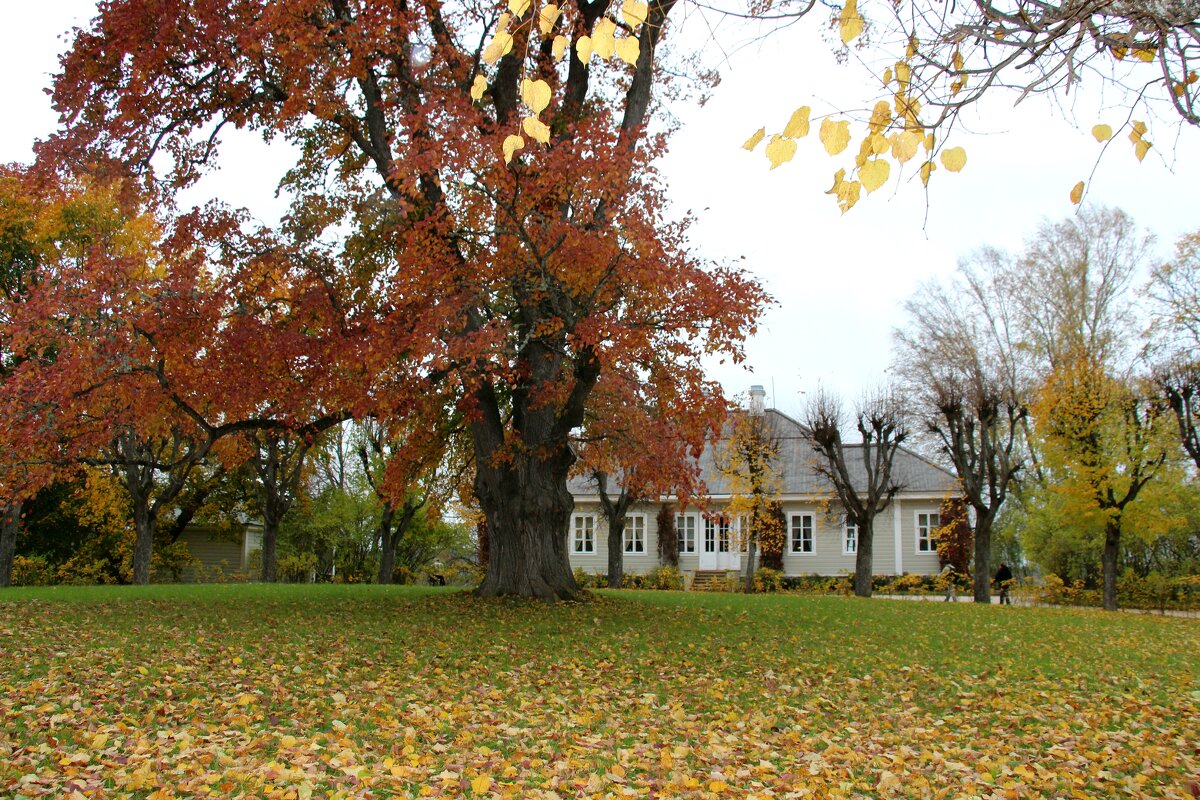 Воспоминание о Пушкинских горах - Наталья Герасимова