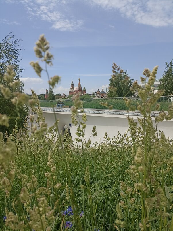 Прогулка в Зарядье - Pippa 