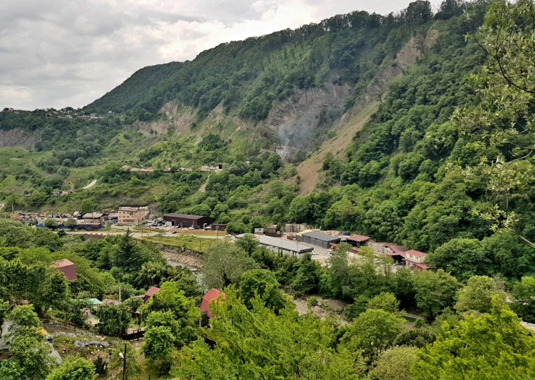 ПЛАСТУНКА-СОЧИ - Tata Wolf