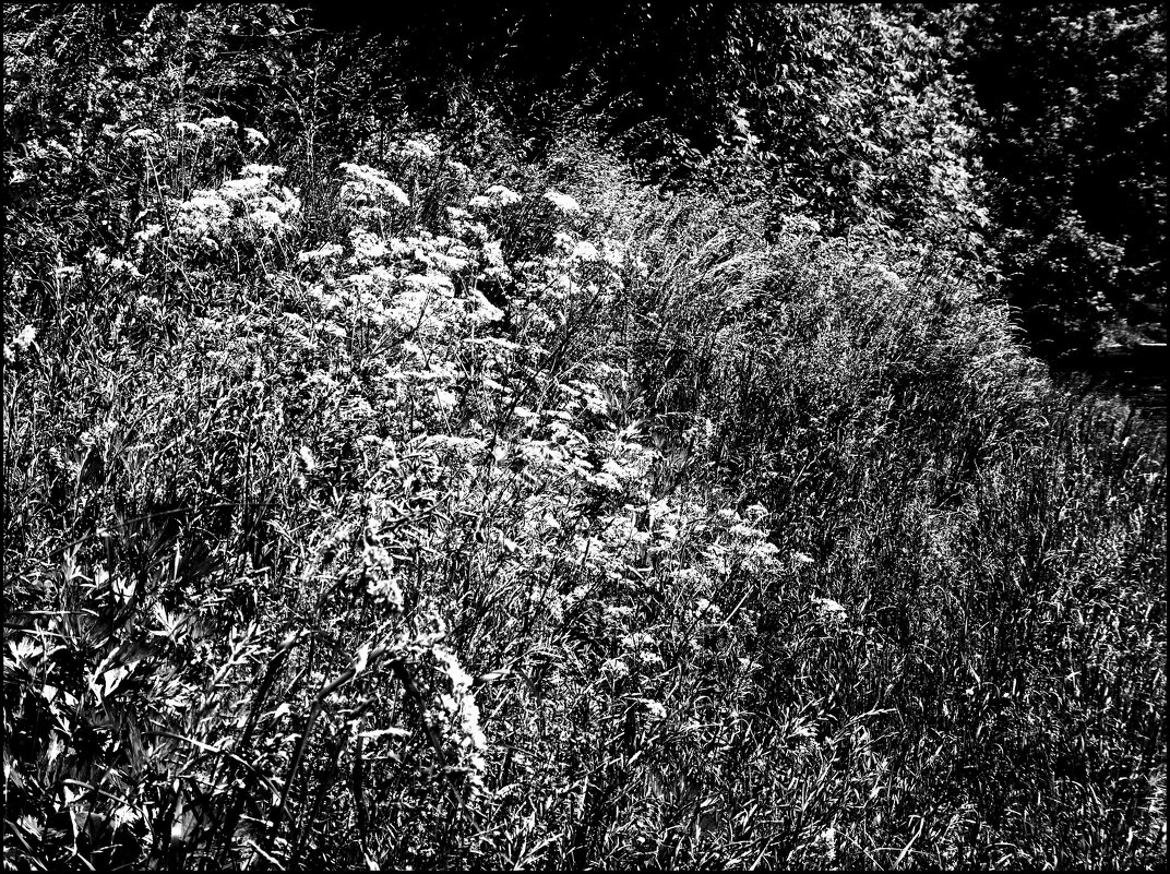 Согретые солнцем - Наталья Rosenwasser