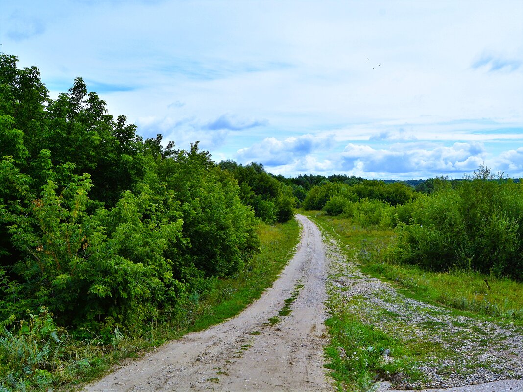 Ядрин. Дорога пойменного леса в юго-восточных окрестностях города. - Пётр Чернега