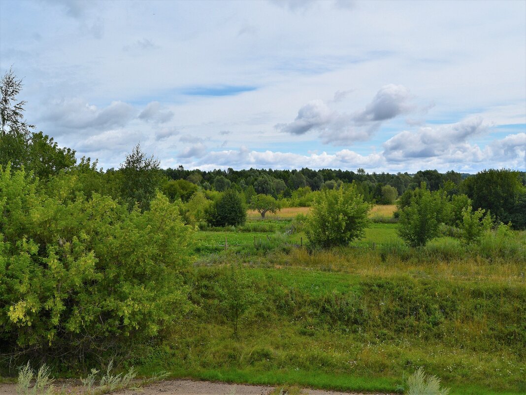 Ядрин. Пойменный лес в юго-восточных окрестностях города. - Пётр Чернега Ядрин. Пойменный лес в юго-восточных окрестностях города. - Пётр Чернега