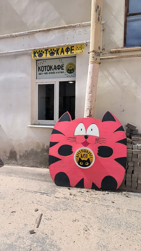 Котокафе Антошкин кот. - Ольга Котокафе Антошкин кот. - Ольга