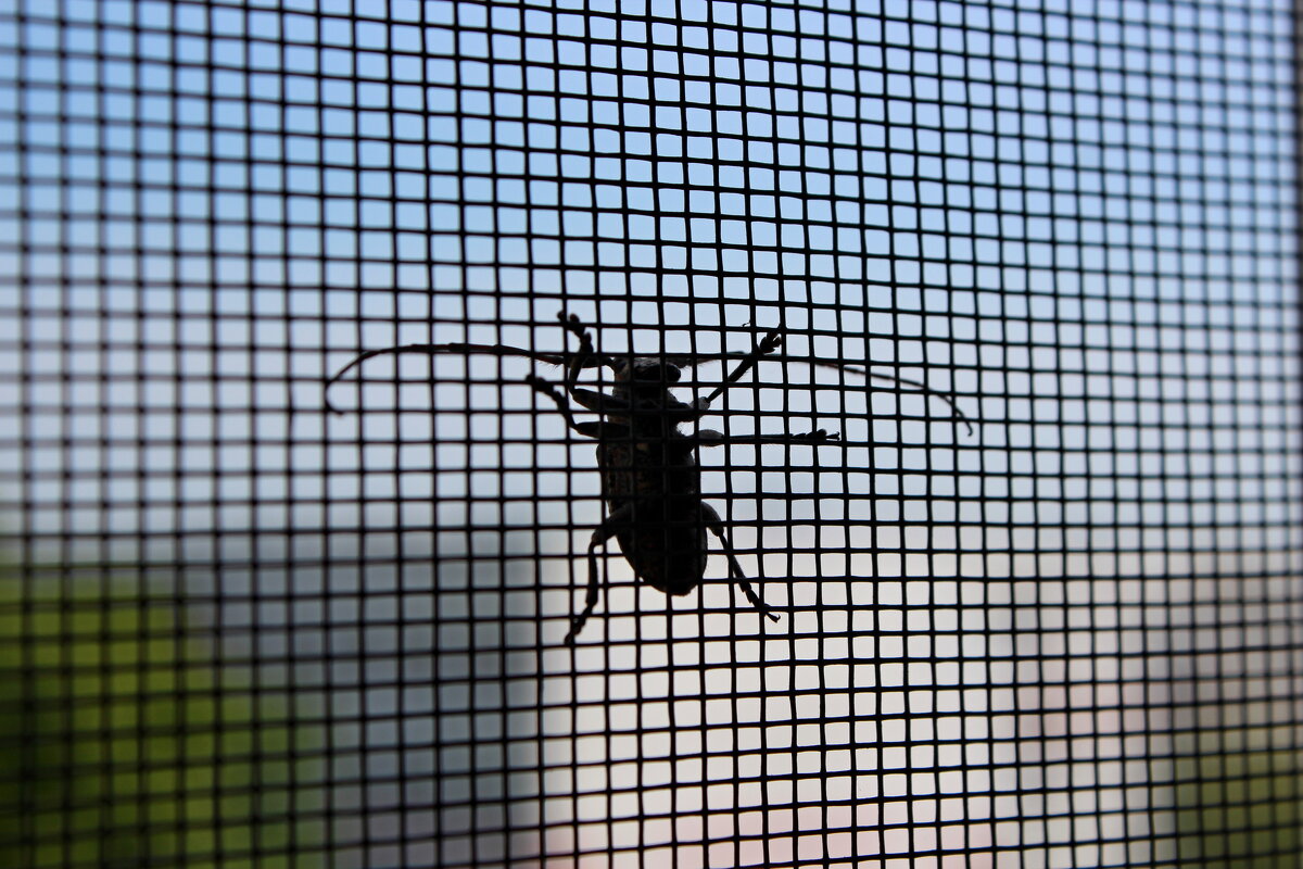 Гость - Марсель Валеев