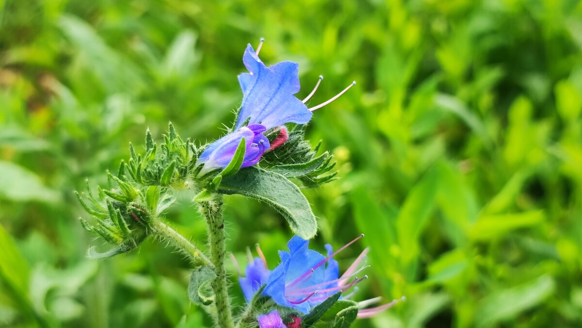,,, - Сергей Тимоновский