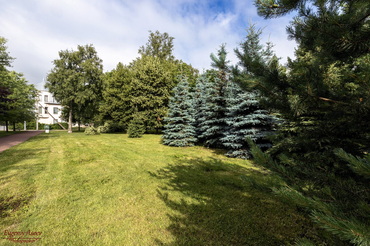 Прогулки по Петербургу - Евгений Прогулки по Петербургу - Евгений