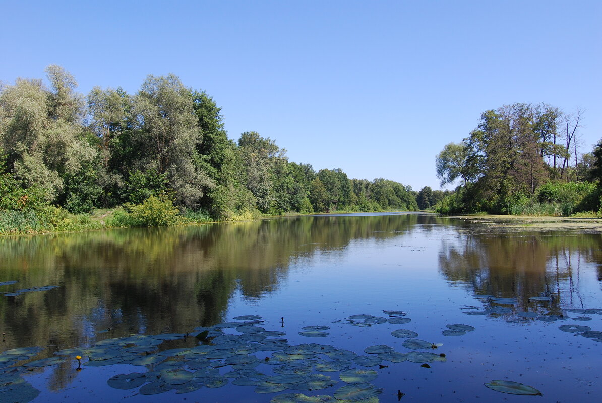 Старица(Старое русло реки Сура) - Рудаков Сергей Старица(Старое русло реки Сура) - Рудаков Сергей