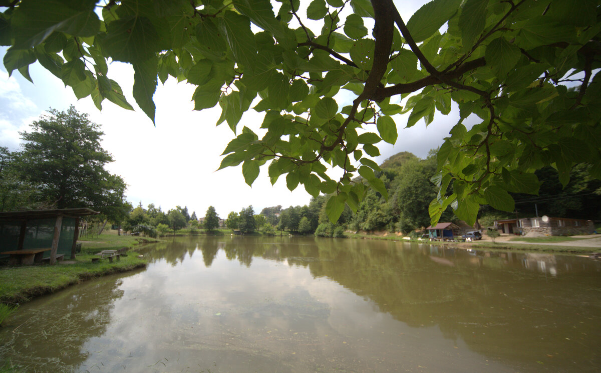 Озеро лесное - Валерий 