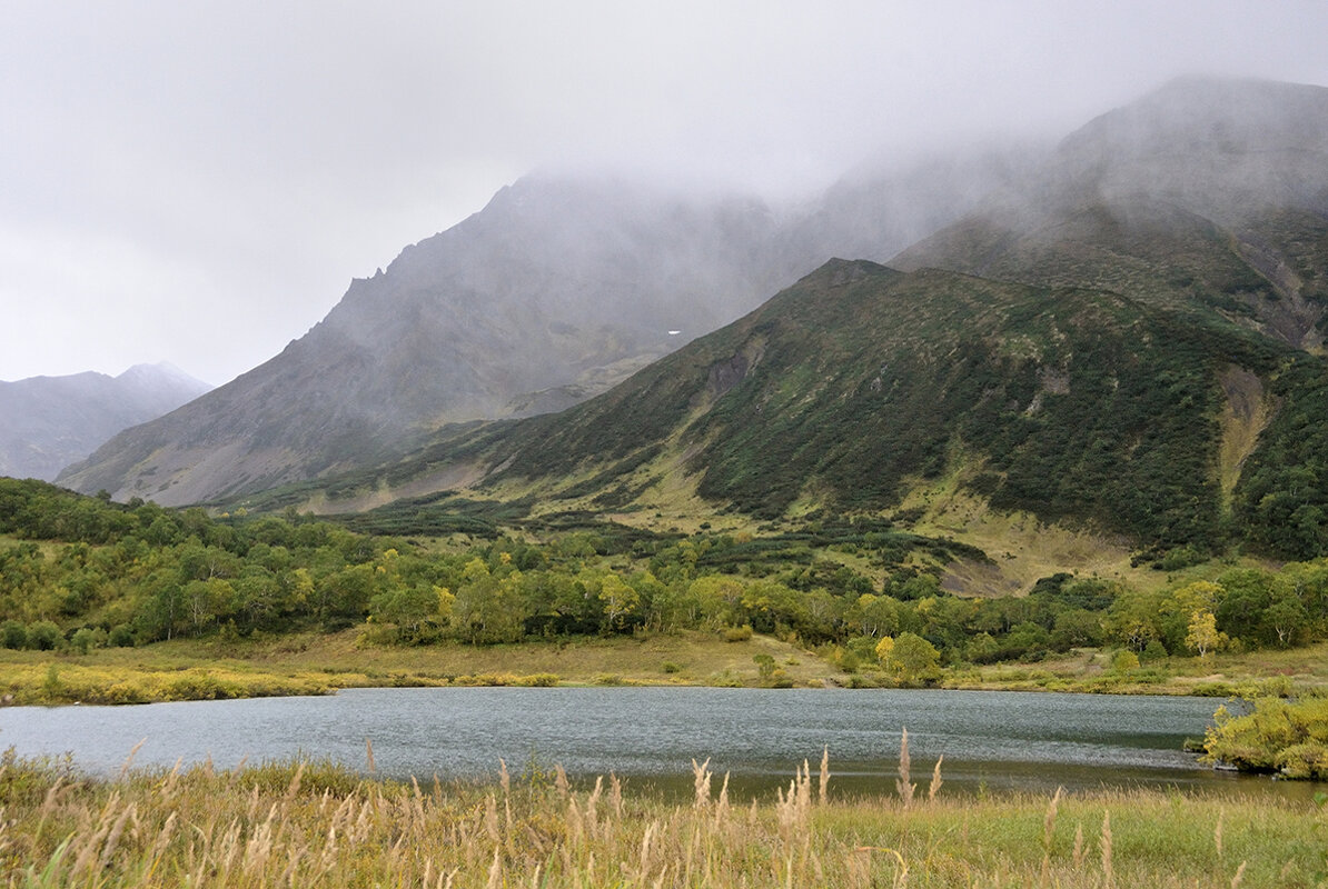Идем на дождь - Марина Виноградова Идем на дождь - Марина Виноградова