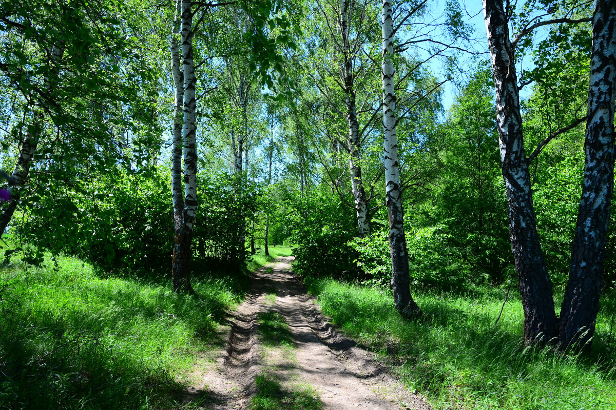 Июнь. - Михаил Колосов 