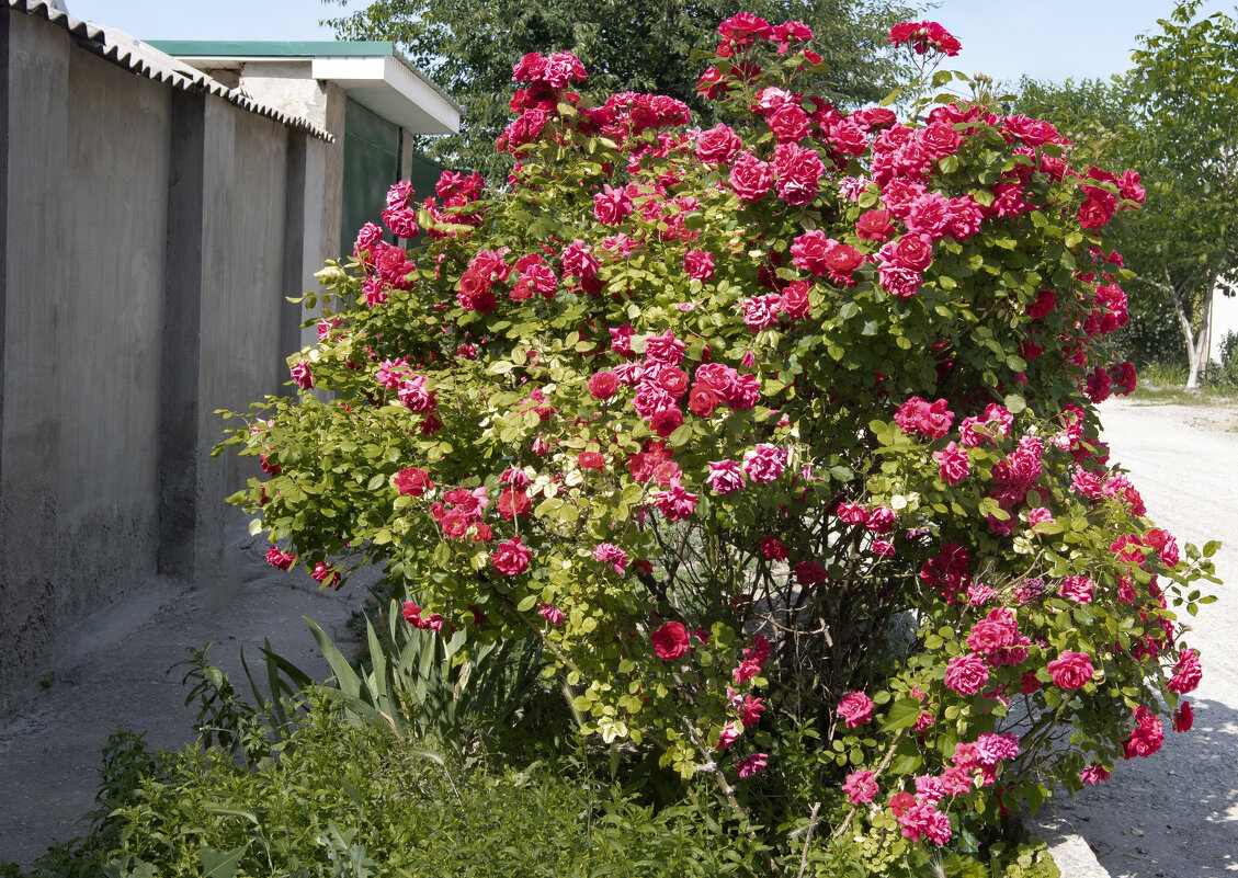 Придорожное одиночество - Валерий Басыров Придорожное одиночество - Валерий Басыров